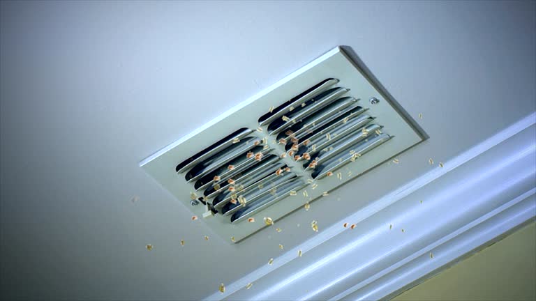 Best Air Duct Cleaning Near Me  in Redland, AL