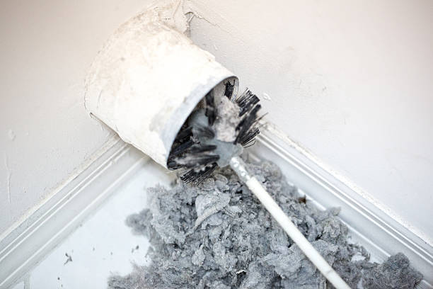 Air Duct Mold Removal in AL